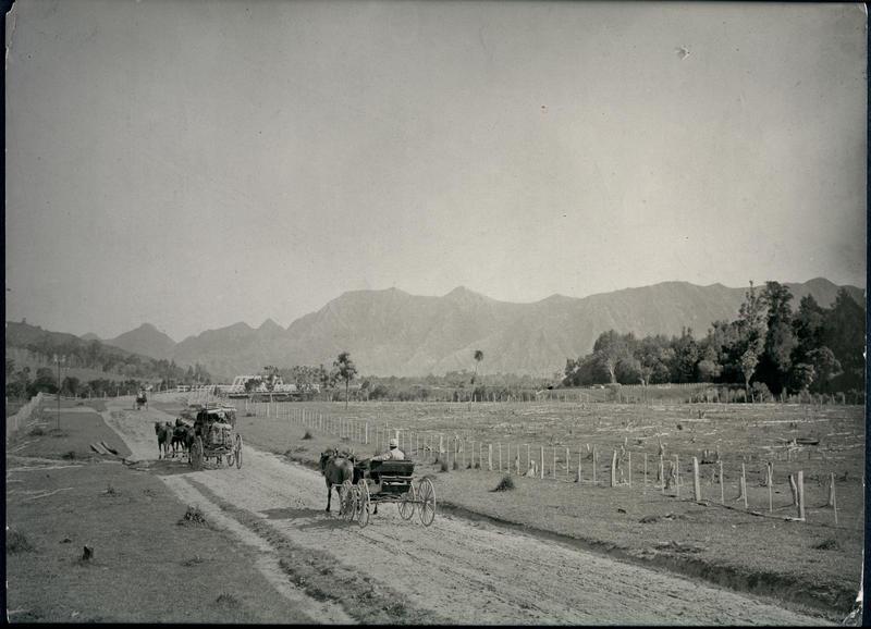 Road between Tolaga and Tokomaru Bays Tairawhiti Museum