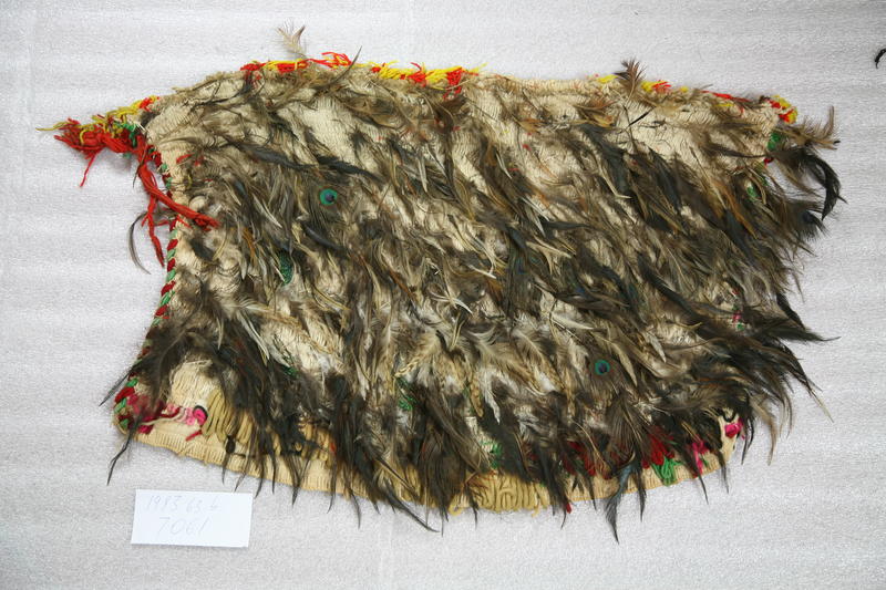 Kahu Huruhuru