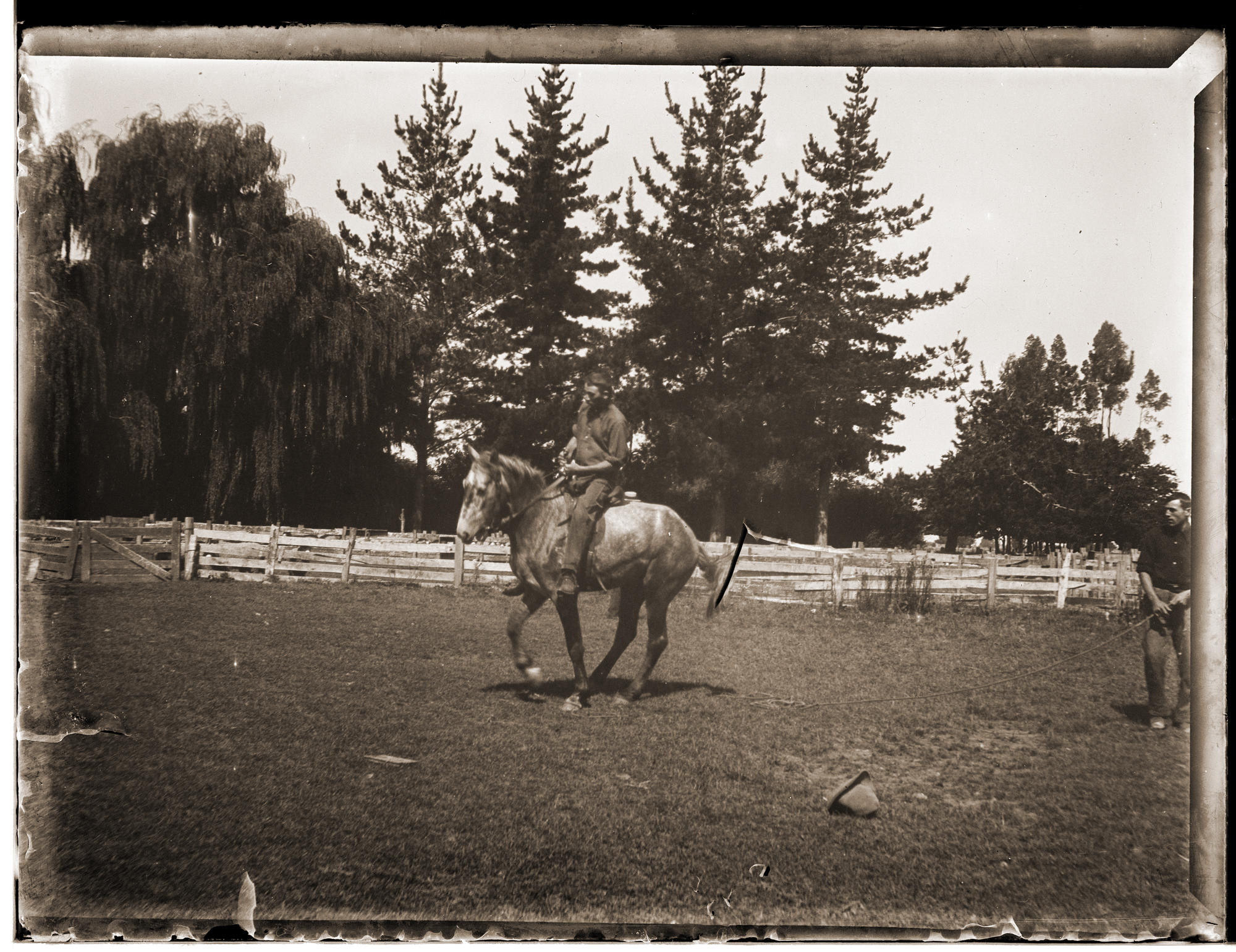 Breaking in a horse Tairawhiti Museum