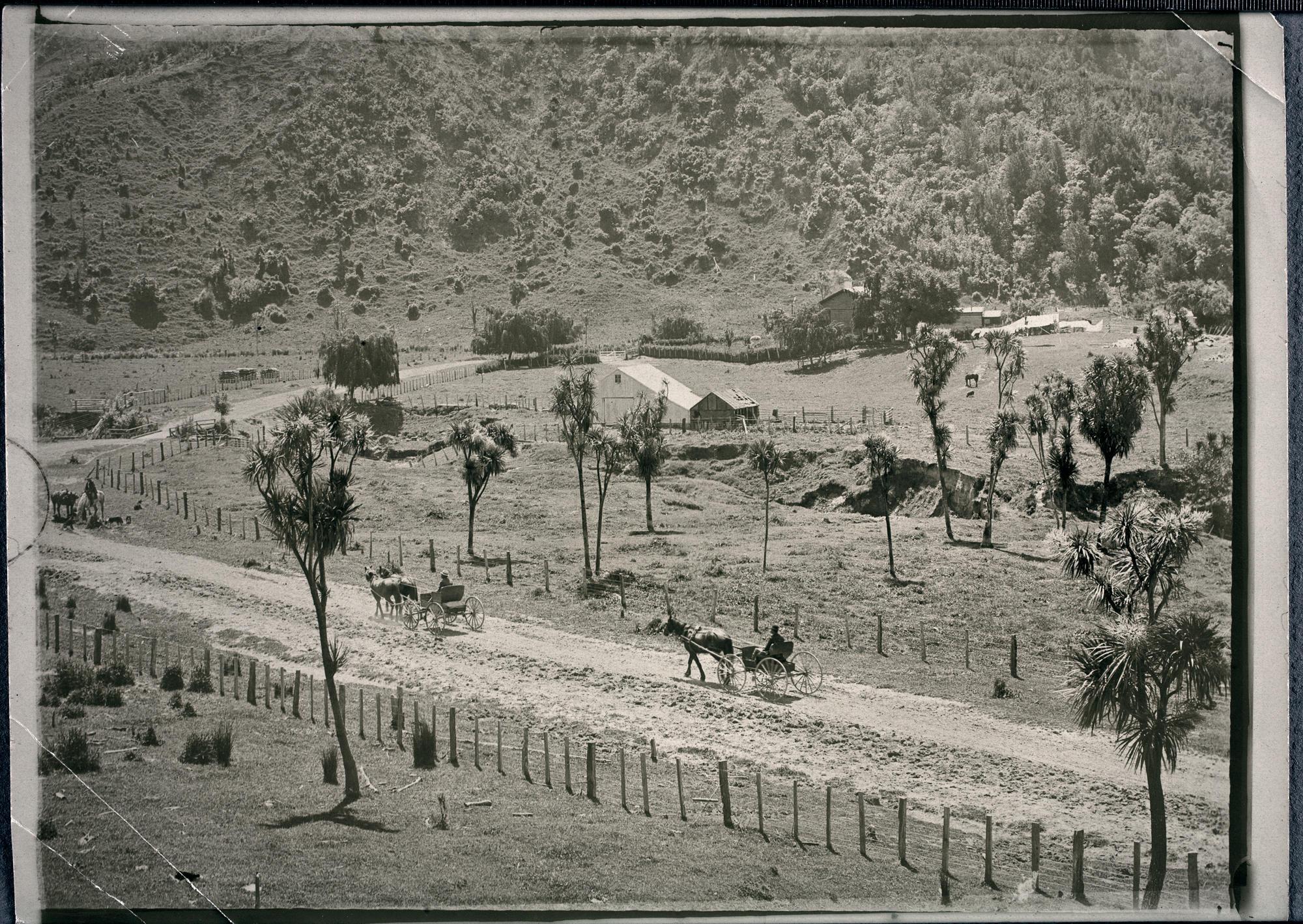 Road between Tokomaru and Tolaga Bays Tairawhiti Museum