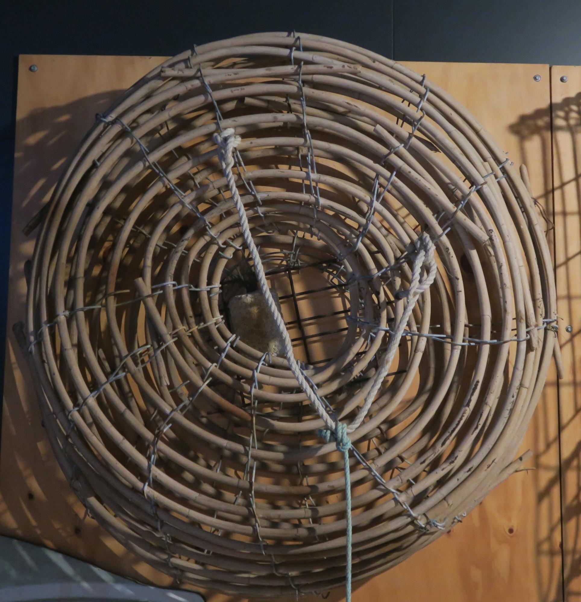 Object - Tairawhiti Museum